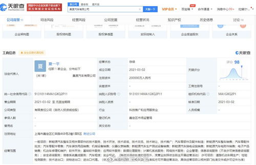 吉利控股集度汽車，持股55%引領智能出行新篇章